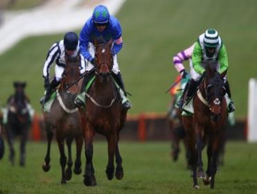Hurricane Fly bids to defend his Champion Hurdle crown